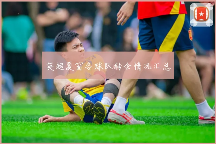 英超夏窗各球队转会情况汇总