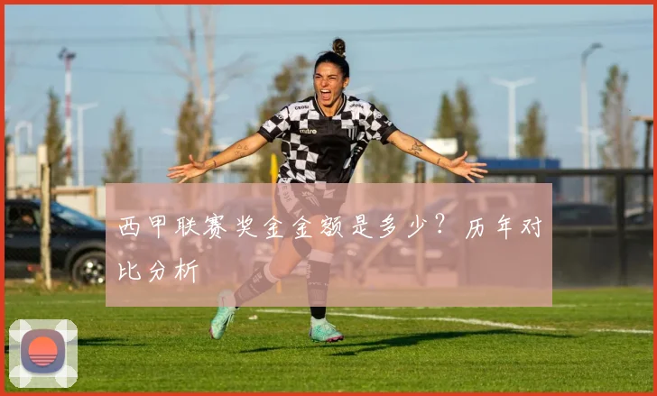 西甲联赛奖金金额是多少？历年对比分析