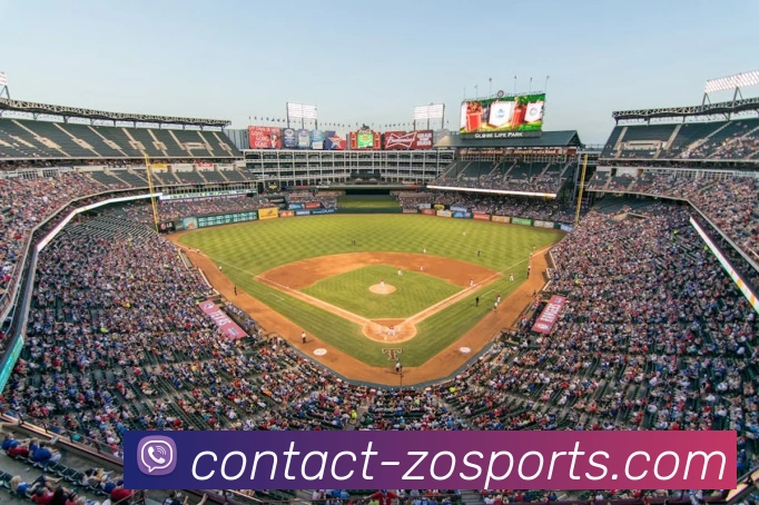 中欧体育平台生态图